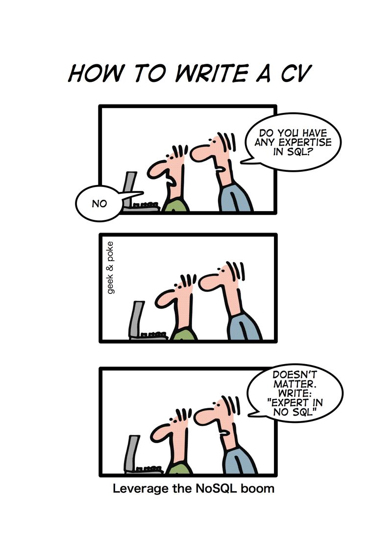 geek&poke - leverage the NoSQL